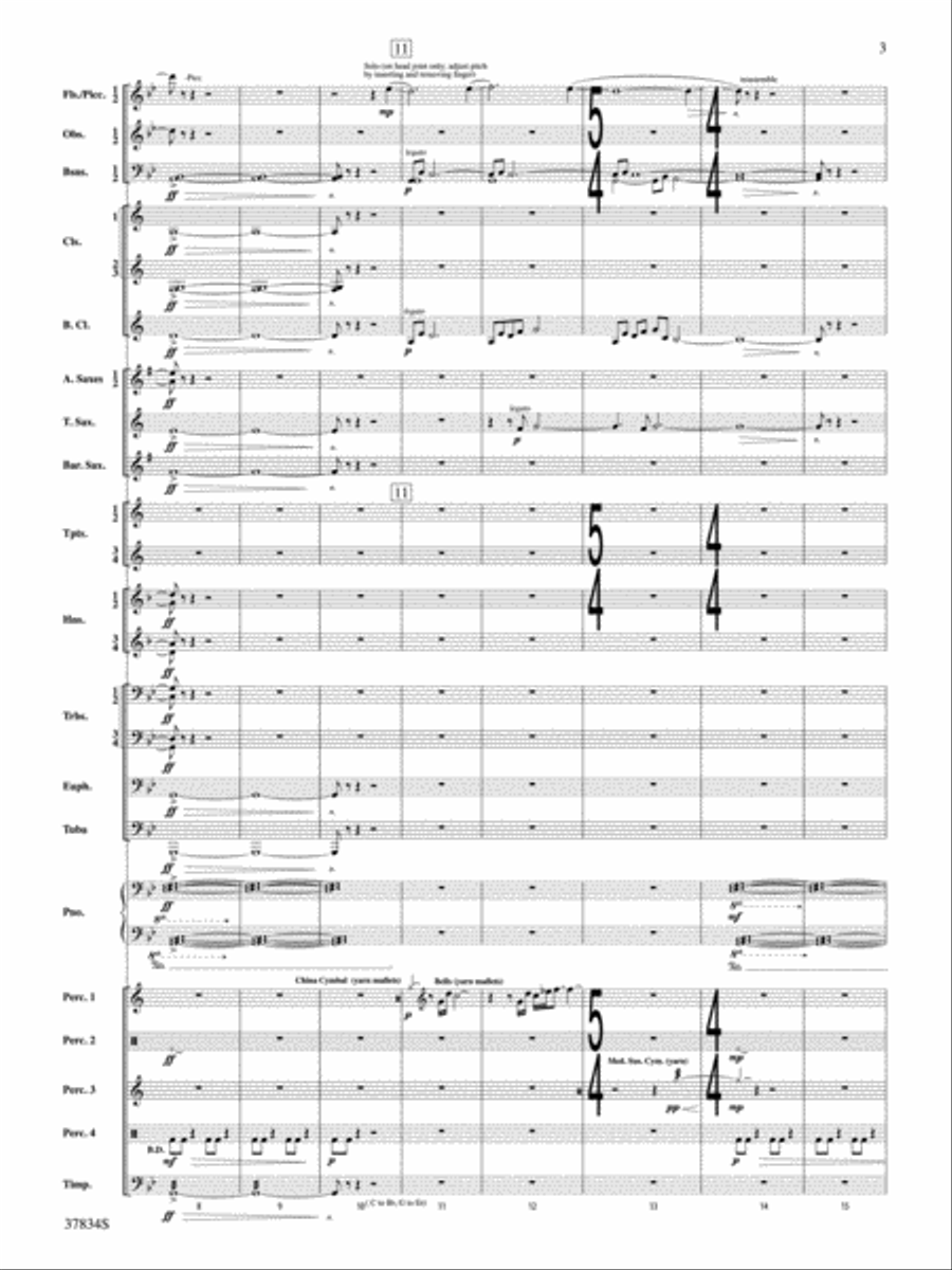 Poor Wayfaring Stranger: Score Concert Band scores gallery preview page 3
