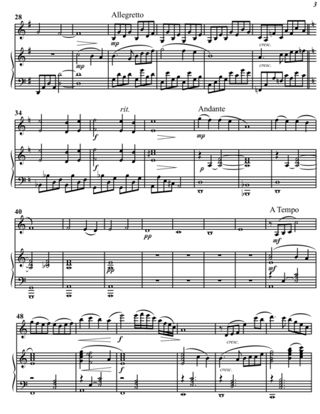 Andante and Allegro for Violin and Piano image number null