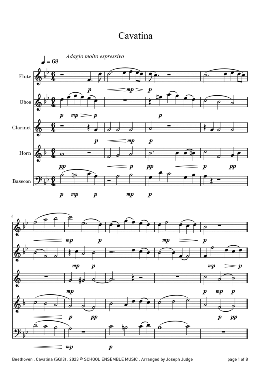 Cavatina by Beethoven for Woodwind Quintet in Schools Woodwind Quintet scores gallery preview page 1