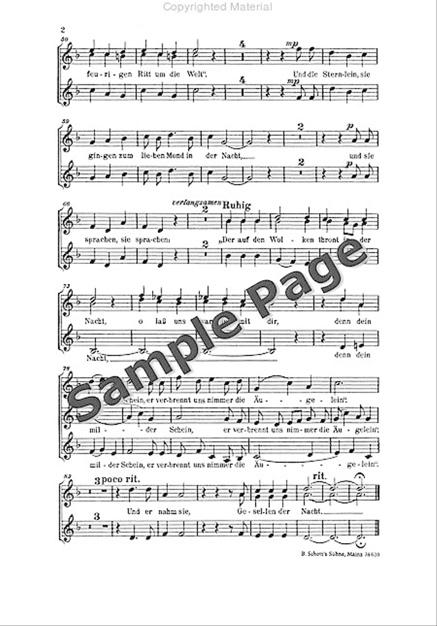 Gesellen der Nacht Gesellen der Nacht Children's Choir scores gallery preview page 3