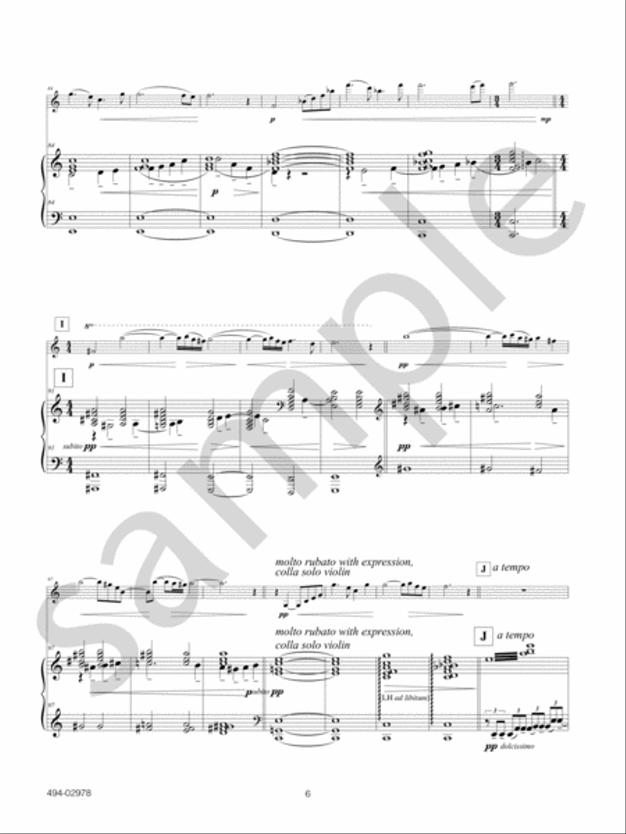 Chamber Concerto Violin Solo scores gallery preview page 9