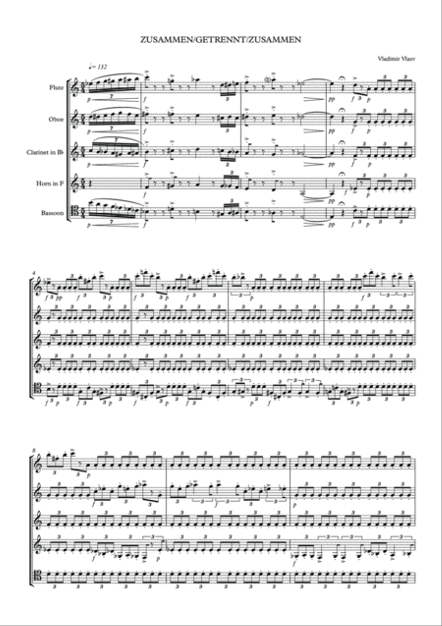Zusammen/Getrennt/Zusammen - Woodwind Quintet Woodwind Quintet scores gallery preview page 3