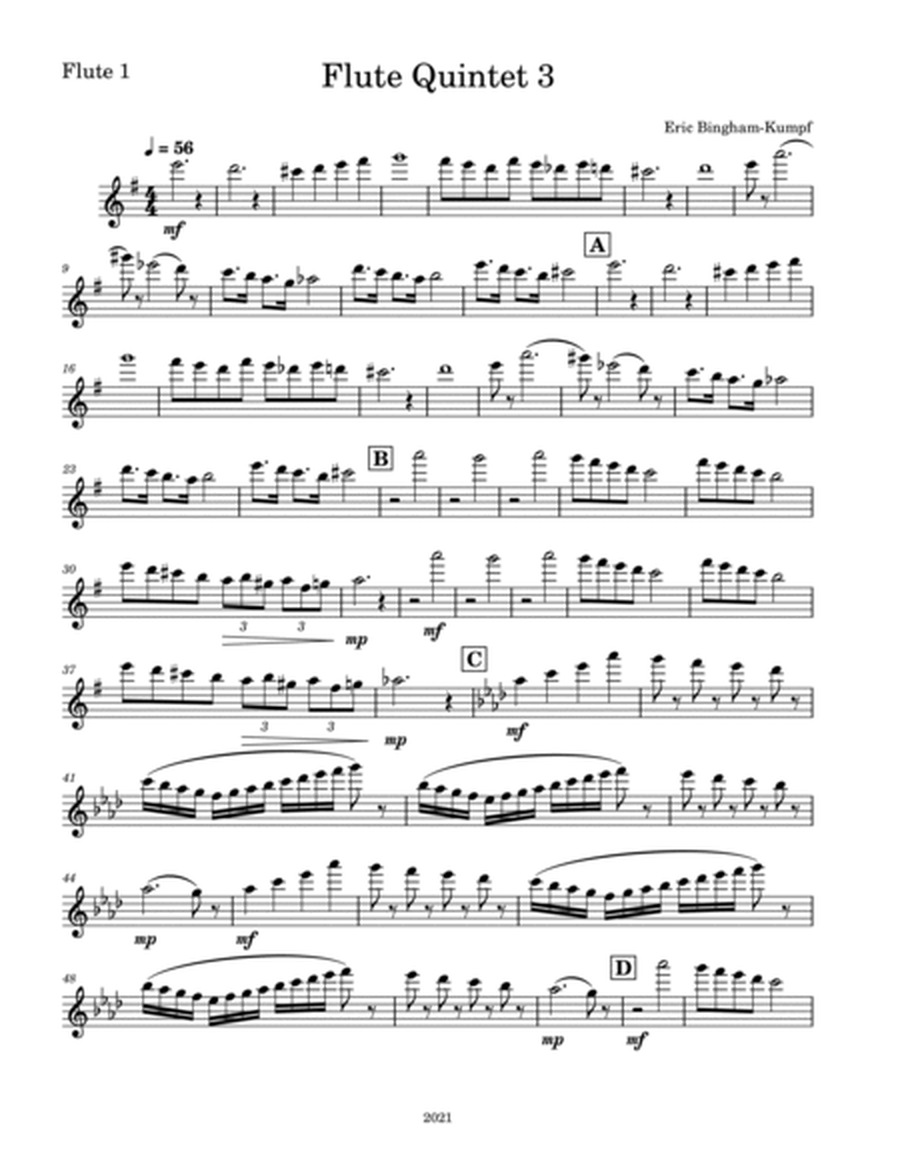 Flute Quintet 3 image number null