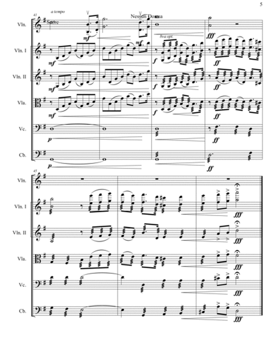 Nessun Dorma for String Orchestra and Various Solo Instruments image number null