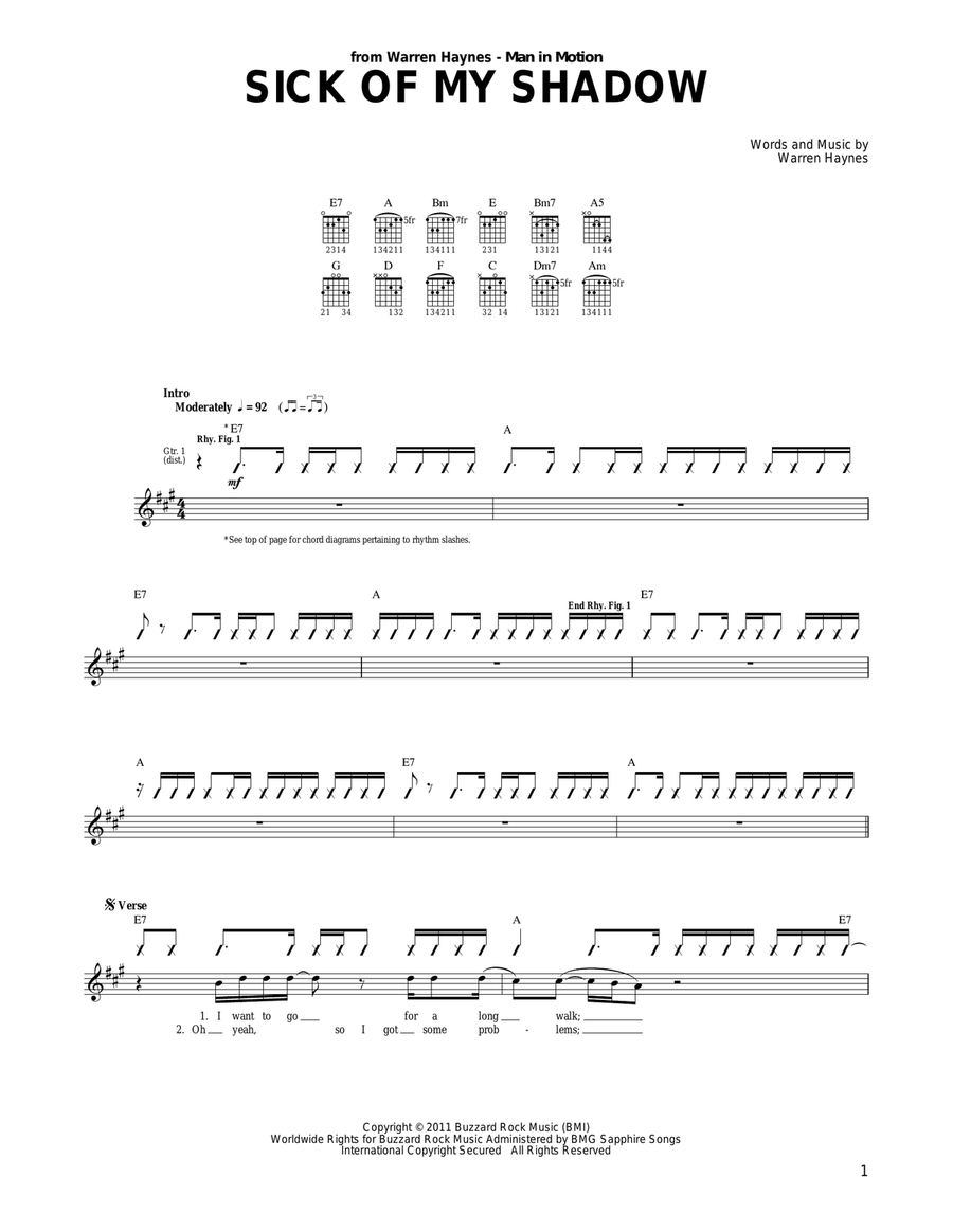 Sick Of My Shadow Acoustic Guitar scores gallery preview page 1