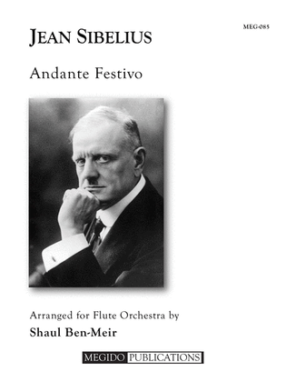 Andante Festivo for Flute Orchestra