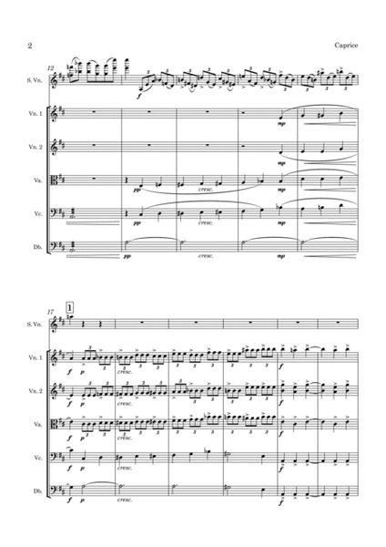 Ysaye Caprice d'apres l'Etude en forme de Valse for Violin and String Orchestra image number null