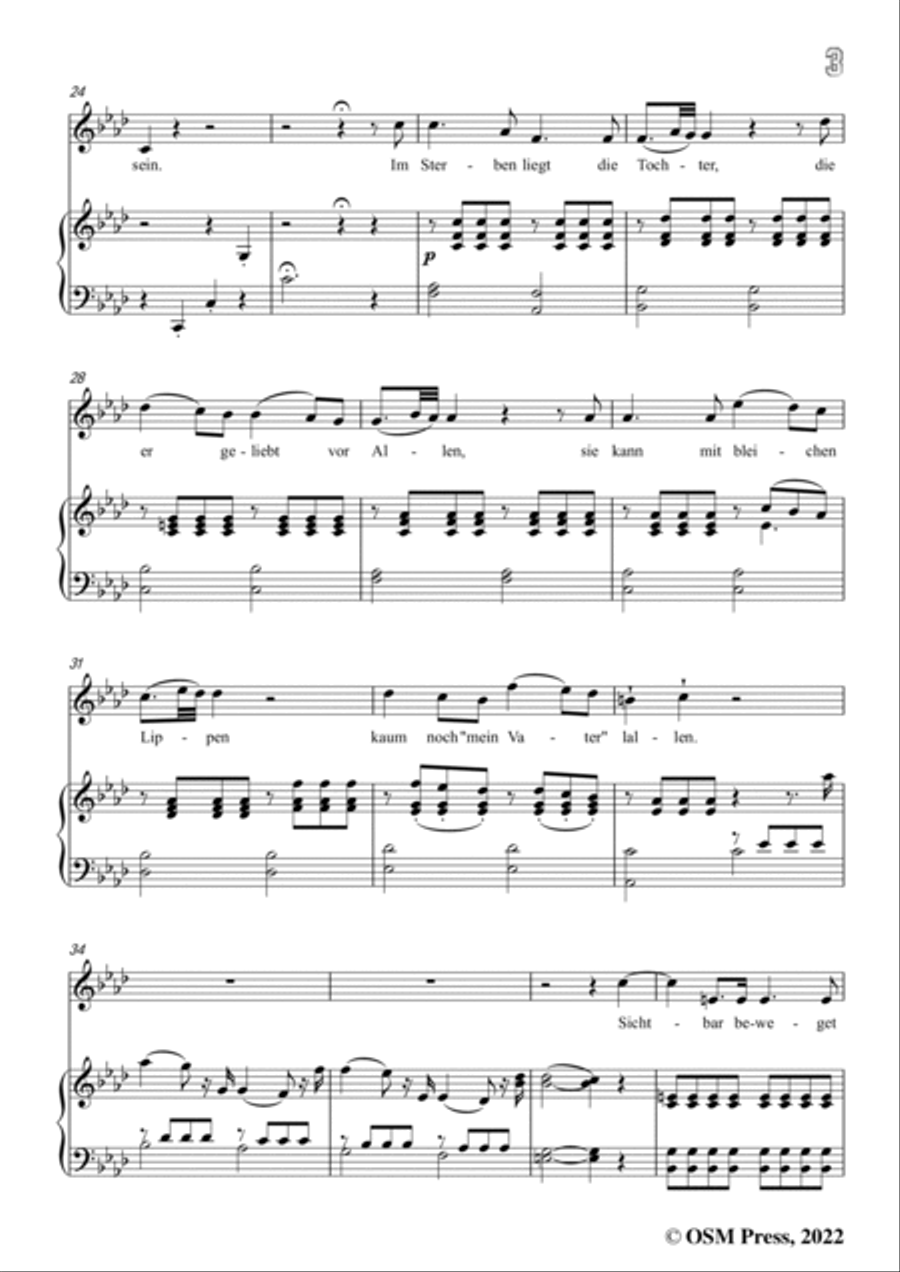 Loewe-Der selt'ne Beter,in f minorr,Op.141,for Voice and Piano Voice Solo scores gallery preview page 5