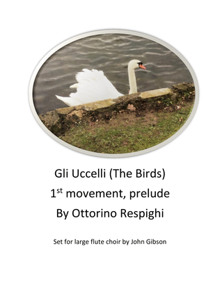 Book cover for Gli Uccelli