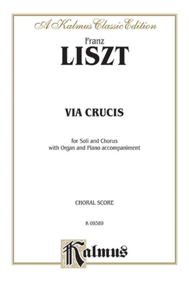Book cover for Via Crucis (The 14 Stations of the Cross)