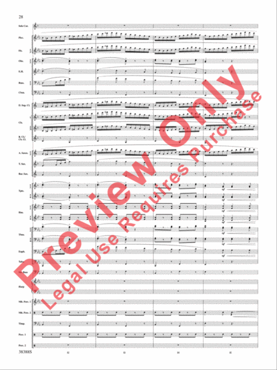 Napoli Napoli Concert Band scores gallery preview page 29