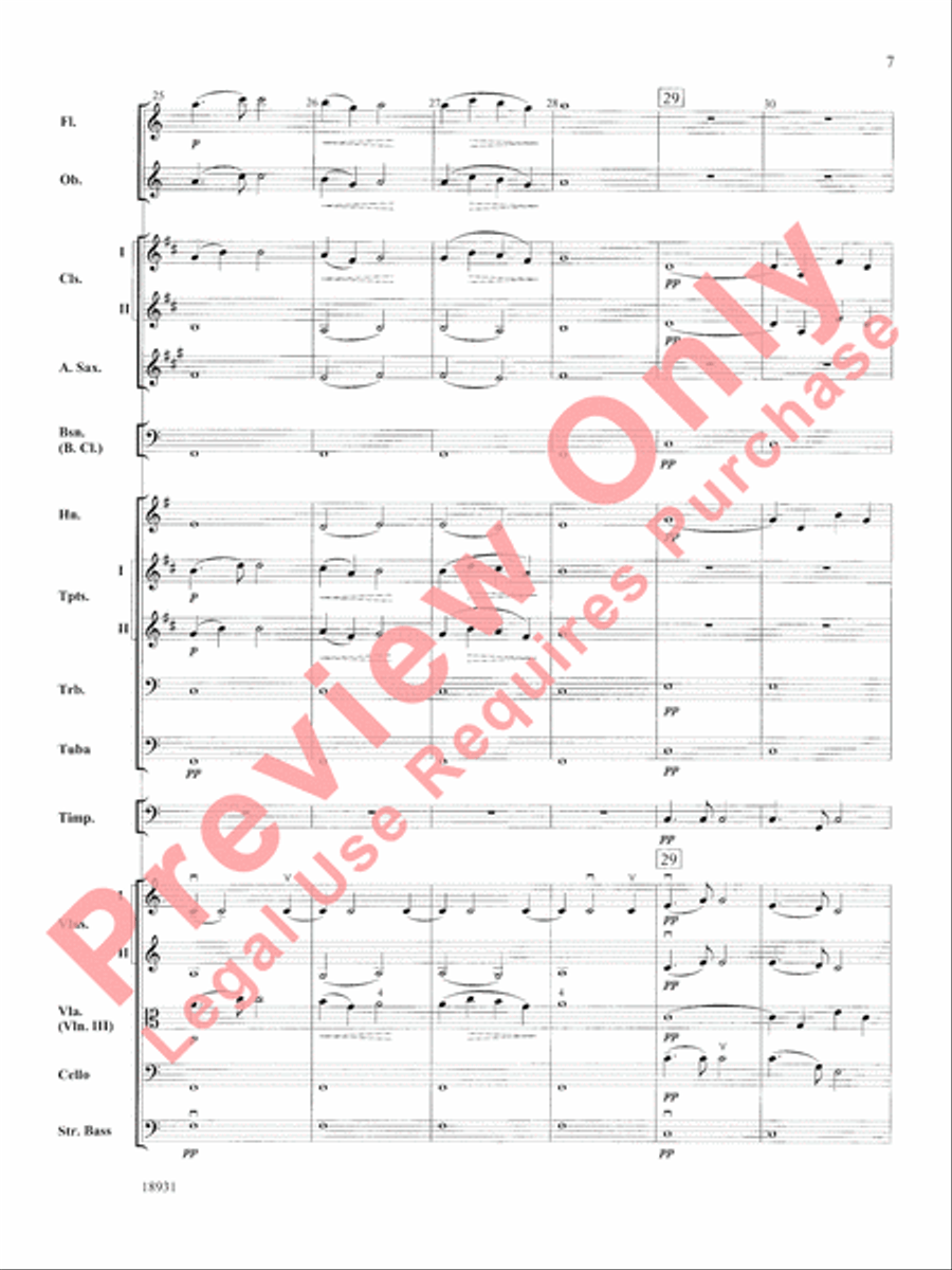 Largo Full Orchestra scores gallery preview page 8