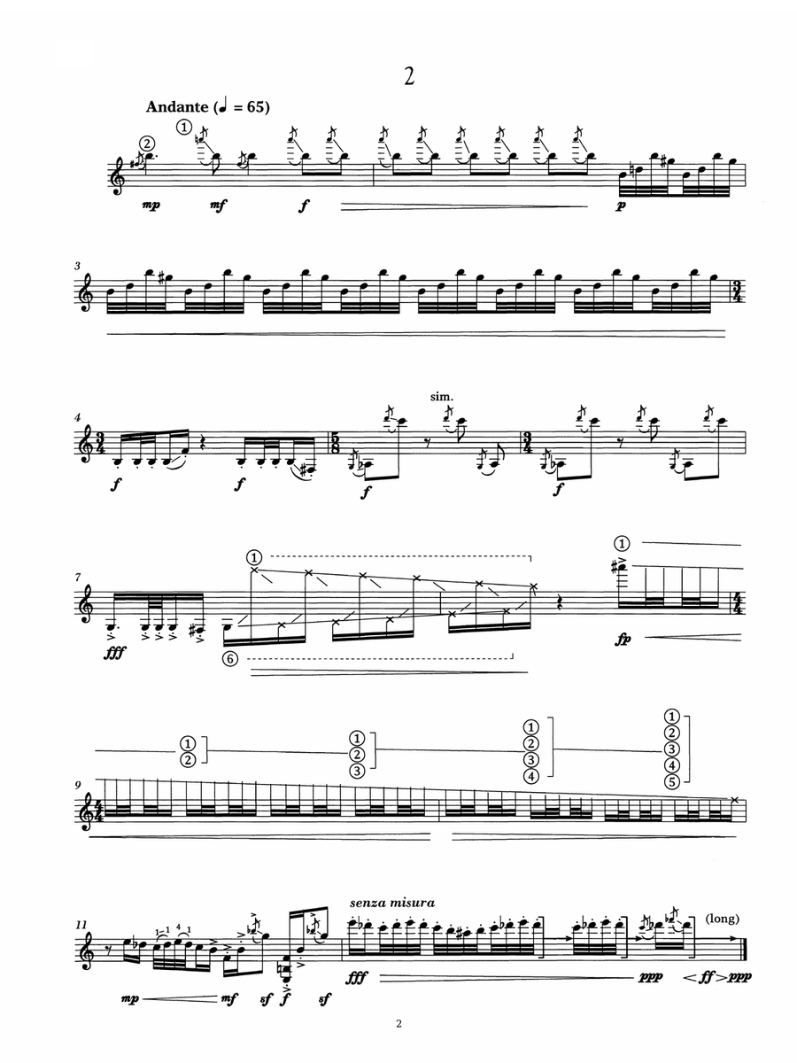 Seven Desires For Guitar Acoustic Guitar scores gallery preview page 2