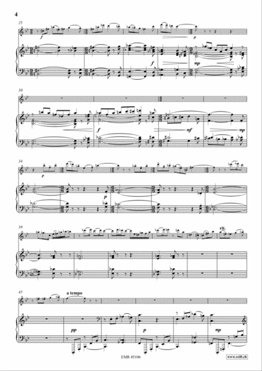 Aria Fiorentina Piccolo scores gallery preview page 5