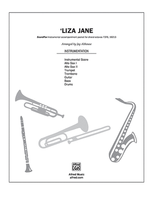 Book cover for 'Liza Jane