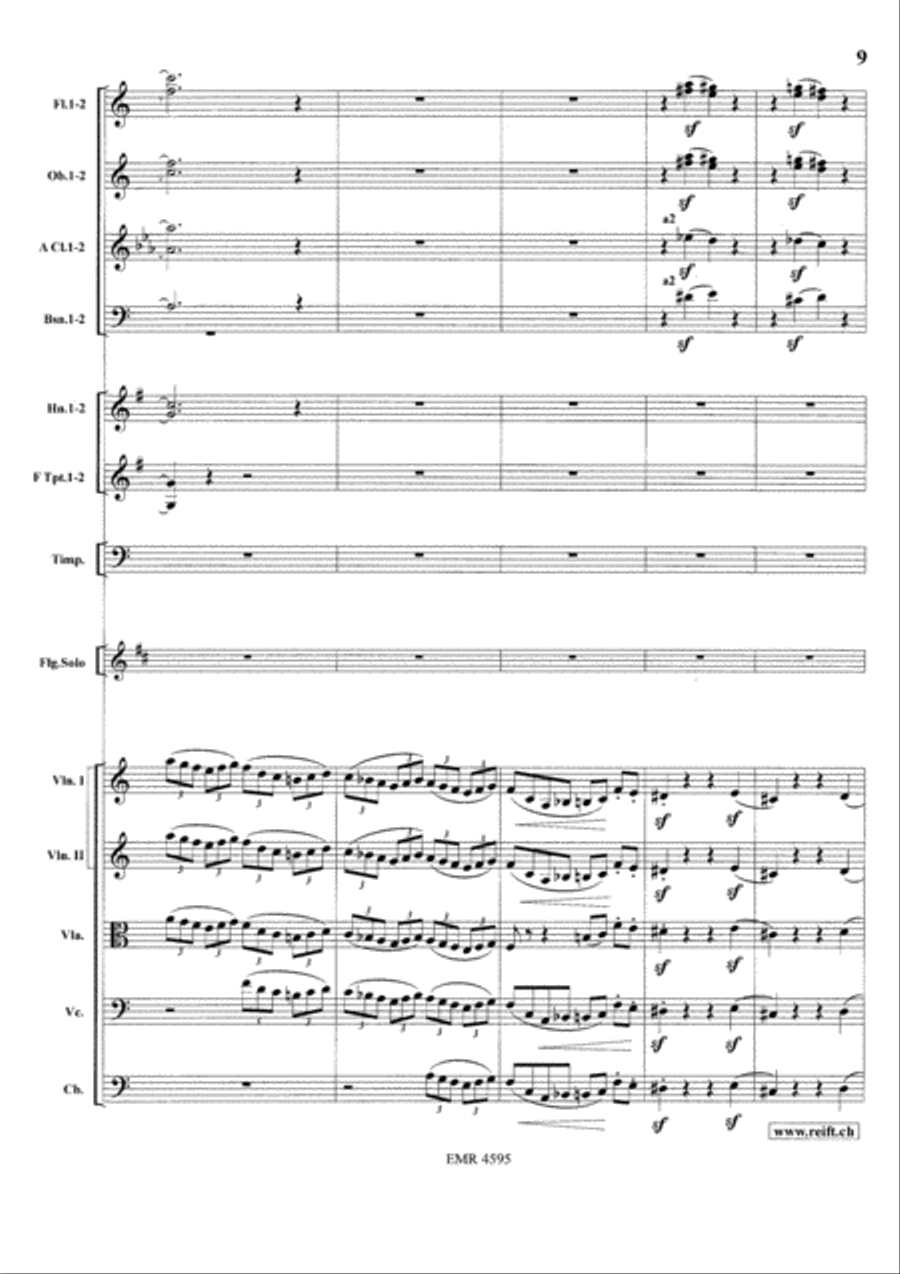 Concerto in A minor Orchestra scores gallery preview page 11