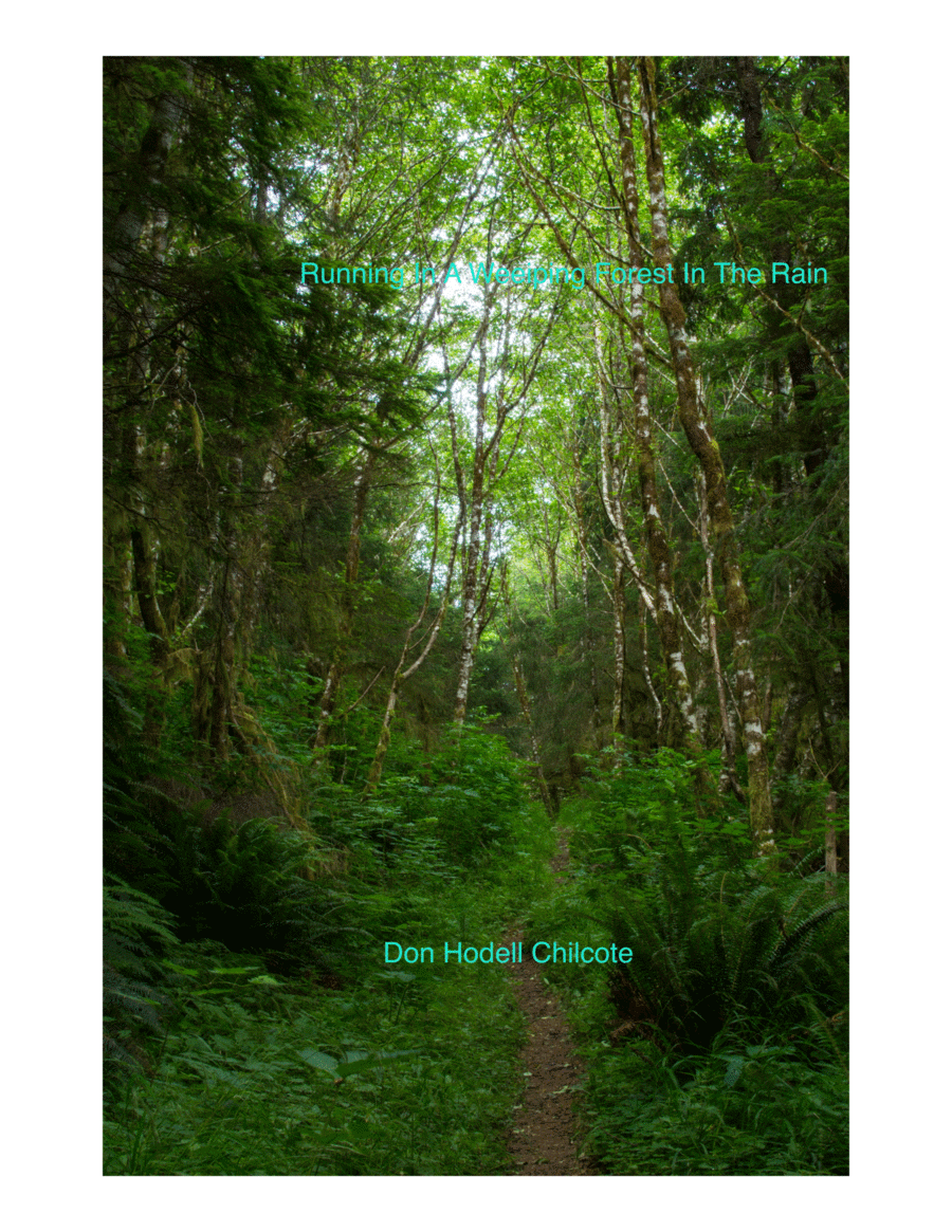 Running In A Weeping Forest In The Rain Piano, Vocal, Guitar scores gallery preview page 1