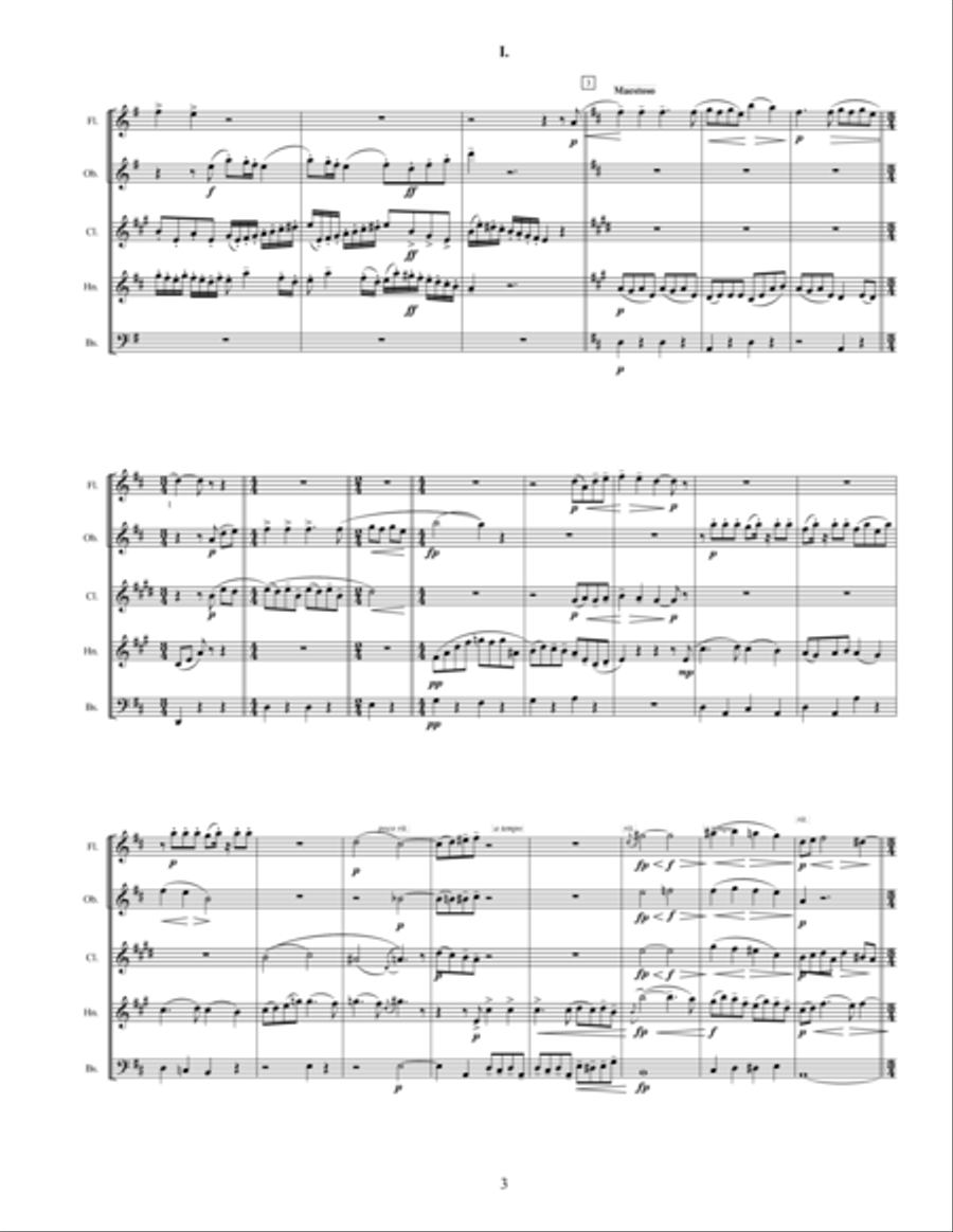 Symphonie No. 4 in G Major for Woodwind Quintet Woodwind Quintet scores gallery preview page 5