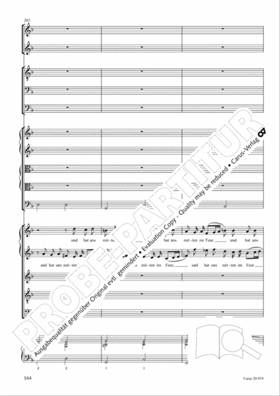 Opera varia I. Works with 1-7 parts (Complete edition, vol. 19) [Werke mit 1-7 obligaten Stimmen] Score scores gallery preview page 221