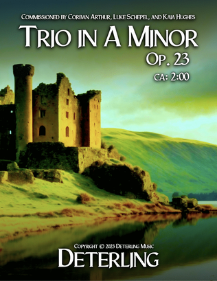 Trio in A Minor, Op. 23 (flexible instrumentation)