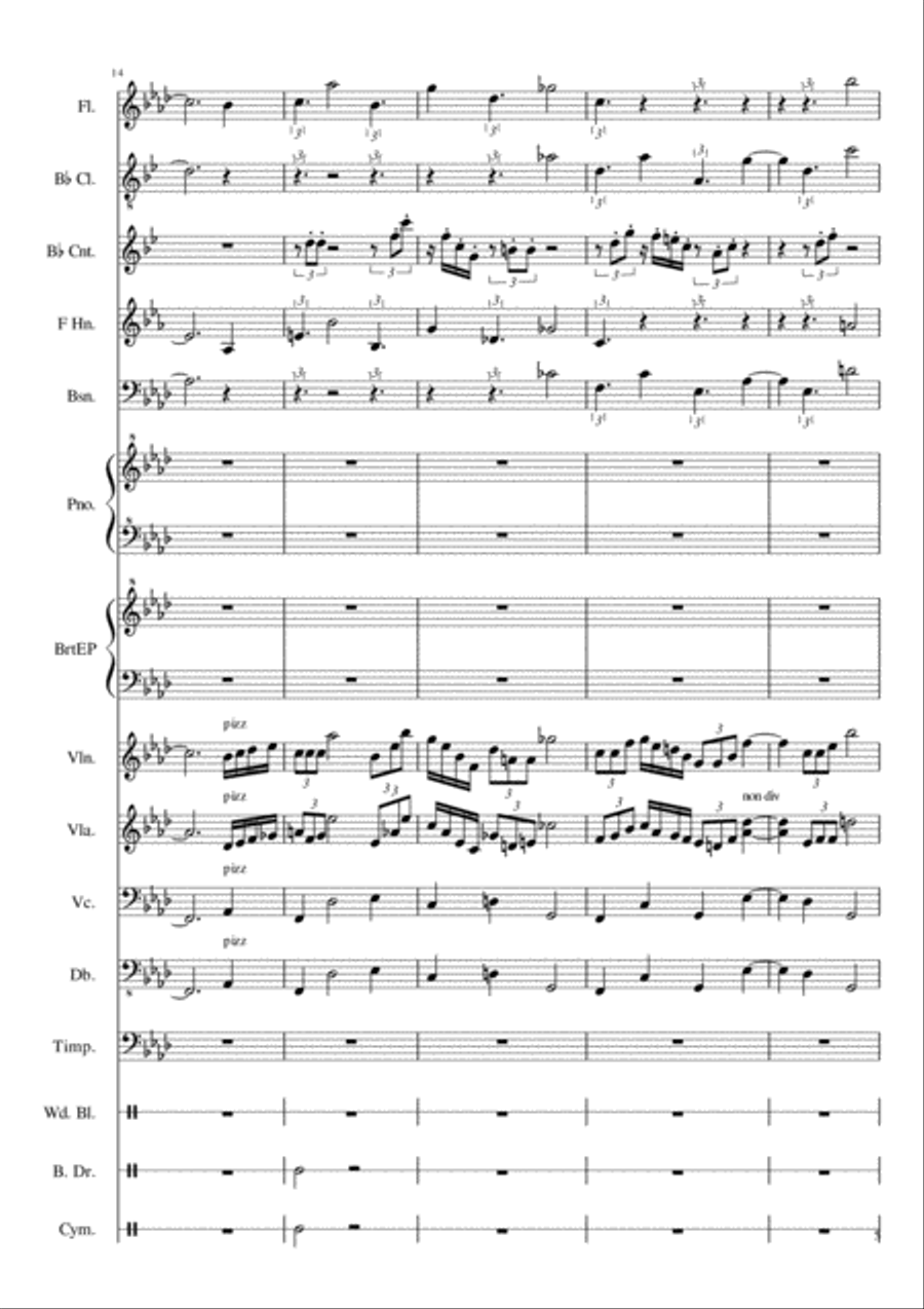 Neophony ~ First Movement Chamber Orchestra scores gallery preview page 5