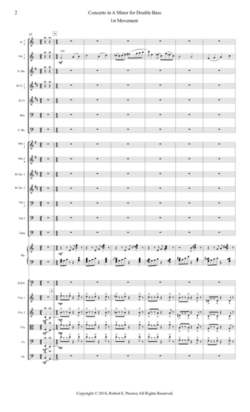 Concerto in A Minor for Double Bass and Orchestra image number null