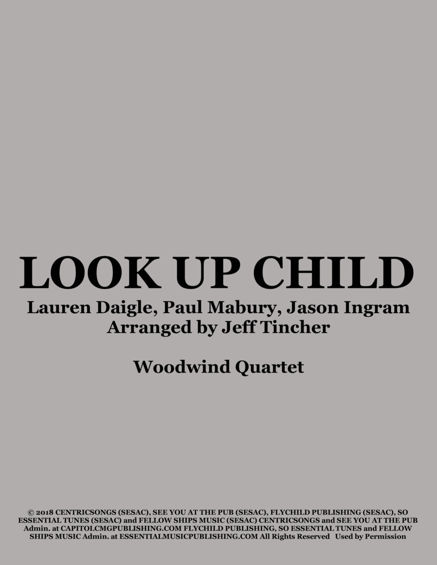 Look Up Child image number null