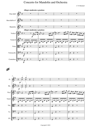 Concerto for Mandolin in G major