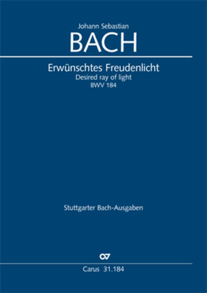 Desired ray of light (Erwunschtes Freudenlicht)