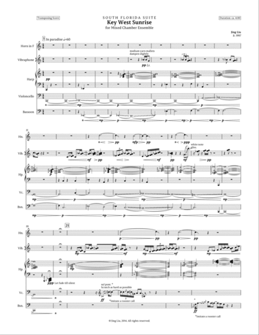 Key West Sunrise for horn, harp, vibraphone, cello, and bassoon Large Ensemble scores gallery preview page 3