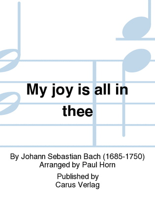 Book cover for My joy is all in thee (Ich freue mich in dir)