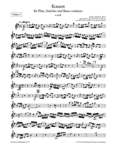Flute Concerto in E minor