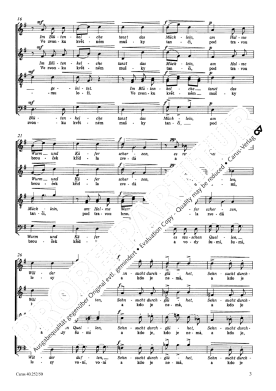 Dnes do skoku a do pisnicky 4-Part scores gallery preview page 4