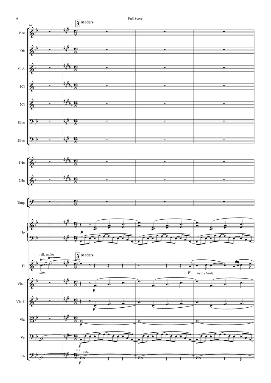 Fantasie for Flute & Symphony Orchestra (arr.) Full Score Chamber Orchestra scores gallery preview page 6