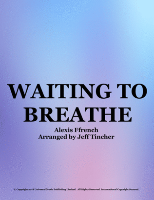Book cover for Waiting To Breathe