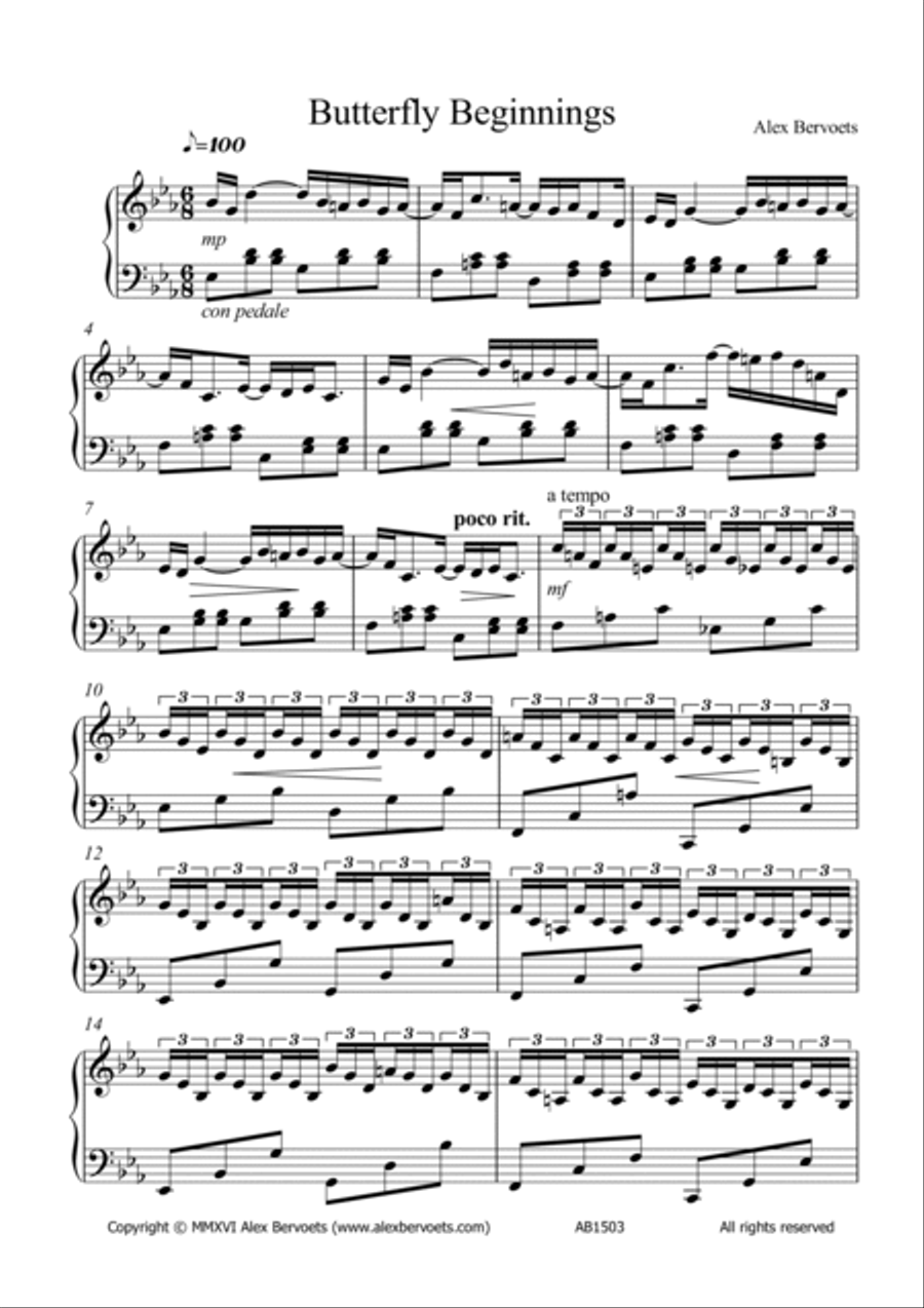 Butterfly Beginnings Piano Solo scores gallery preview page 2