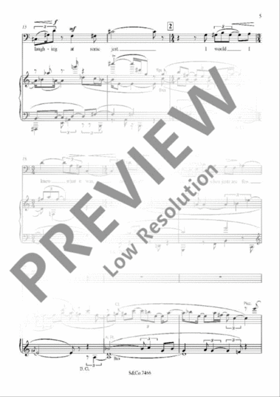 The Torn Fields The Torn Fields Bassoon scores gallery preview page 9