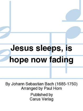 Book cover for Jesus sleeps, is hope now fading (Jesus schlaft, was soll ich hoffen)