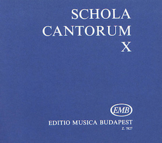 Schola Cantorum Volume 10 Two And Three Part Motets Original Language