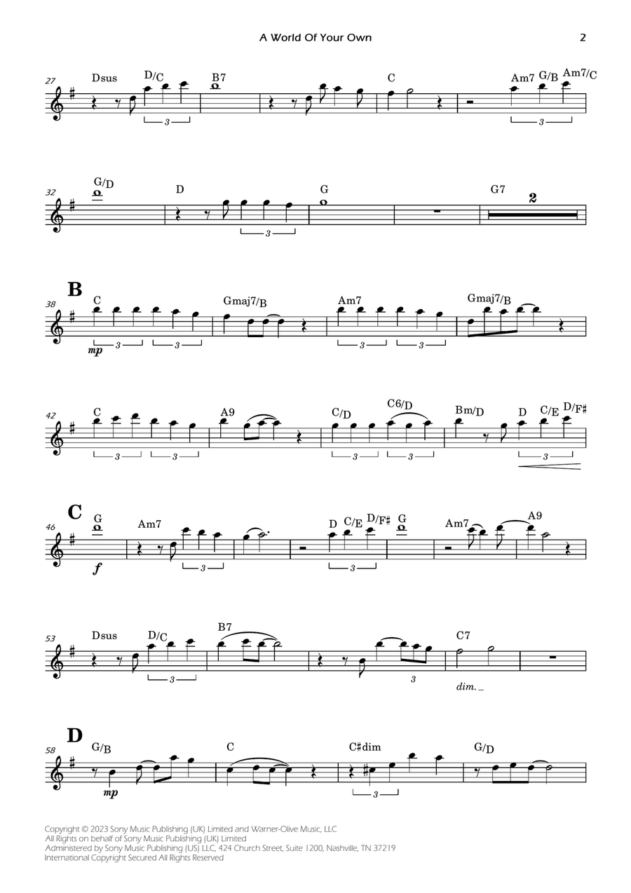 A World Of Your Own Flute Solo scores gallery preview page 2