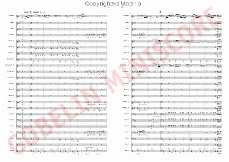 The Trouble with the Tuba is. Concert Band scores gallery preview page 5