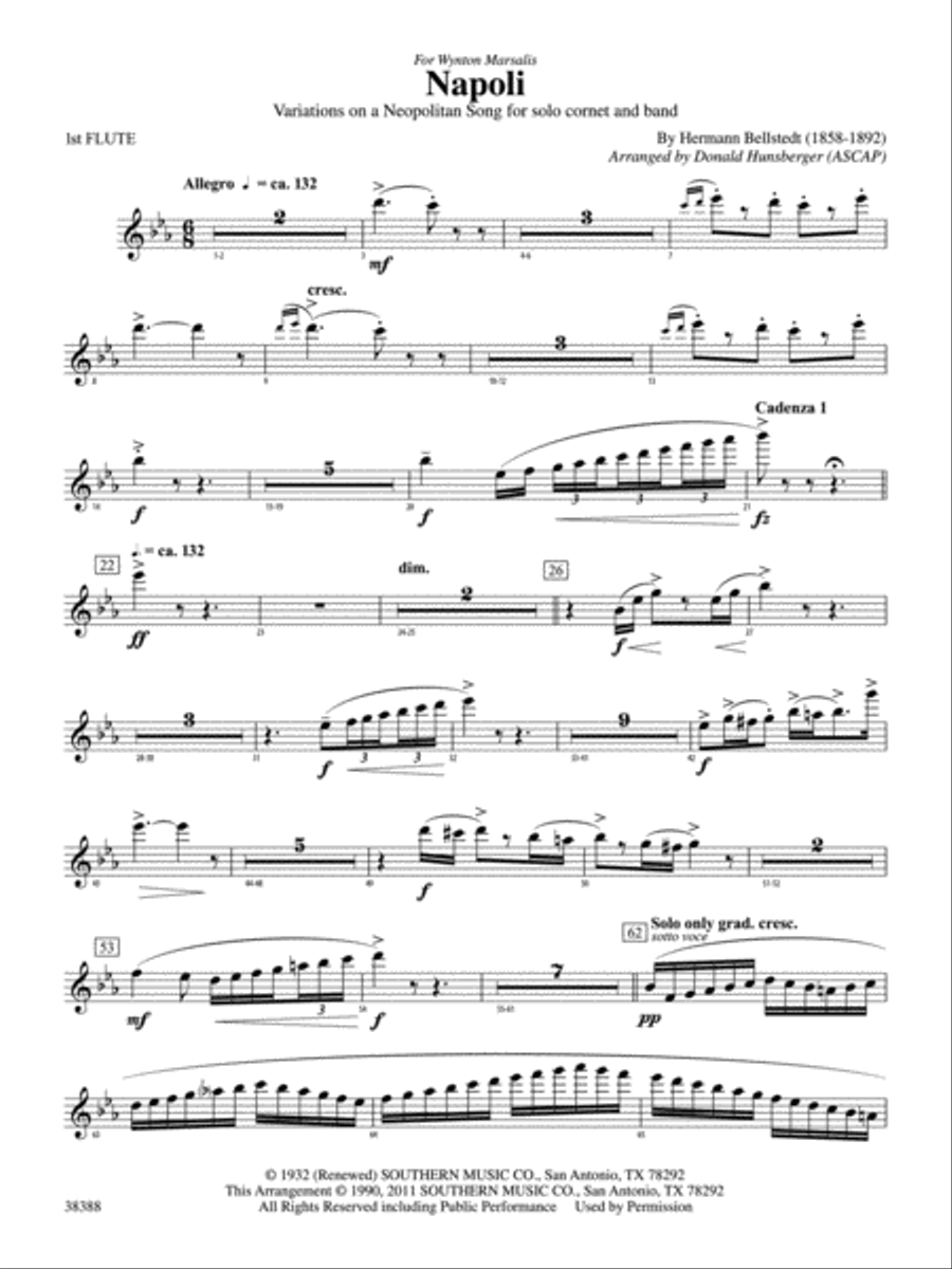 Napoli: Flute Concert Band scores gallery preview page 1