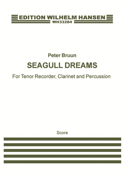 Seagull Dreams