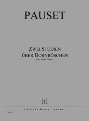Book cover for Studien uber Dornroschen (2)