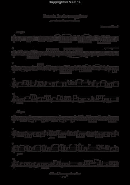 Sonata in do maggiore (Ms, coll. Furstenberg)