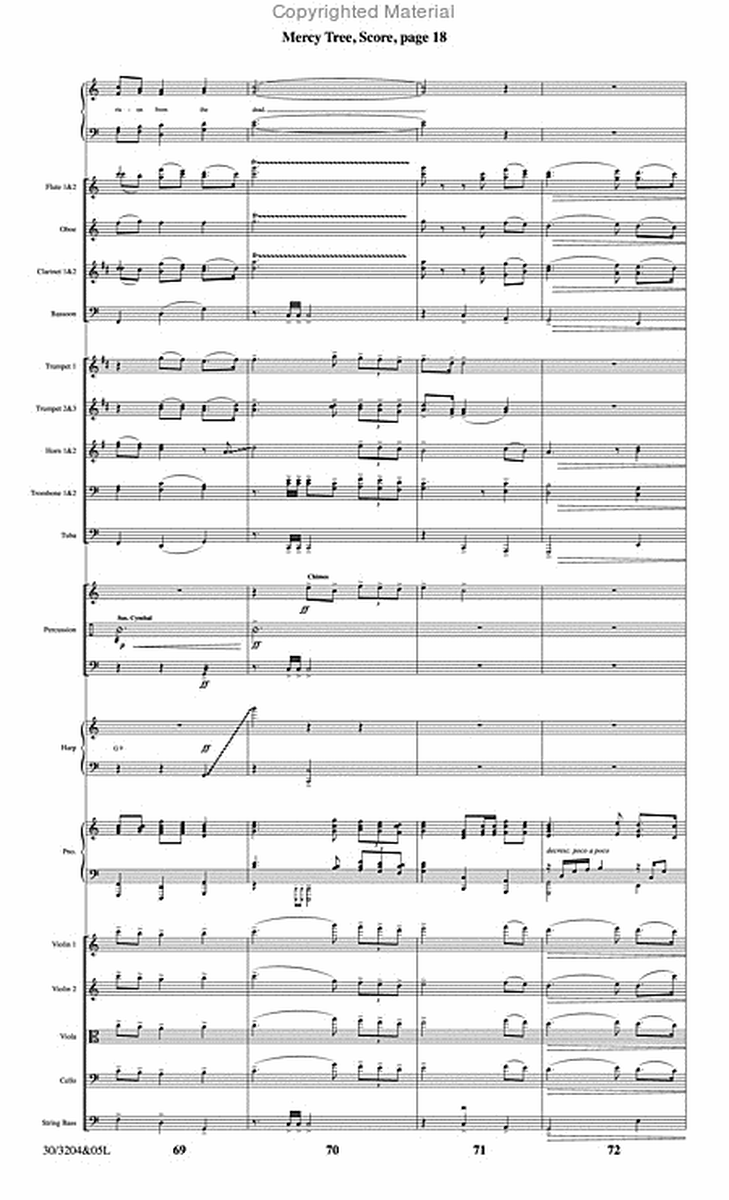 Mercy Tree - Orchestral Score and Parts image number null