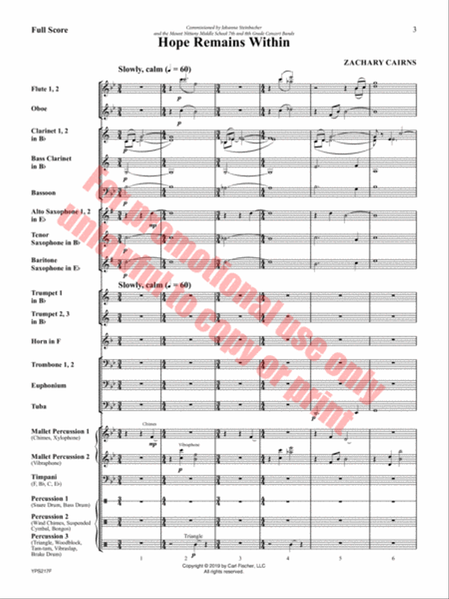 Hope Remains Within Concert Band scores gallery preview page 4