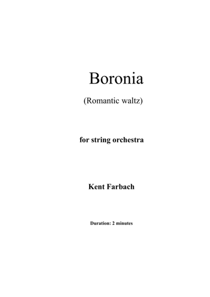 Boronia for Intermediate String Orchestra image number null