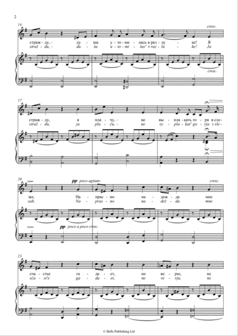 Somnenie (voice and piano) (E minor) Voice Solo scores gallery preview page 2