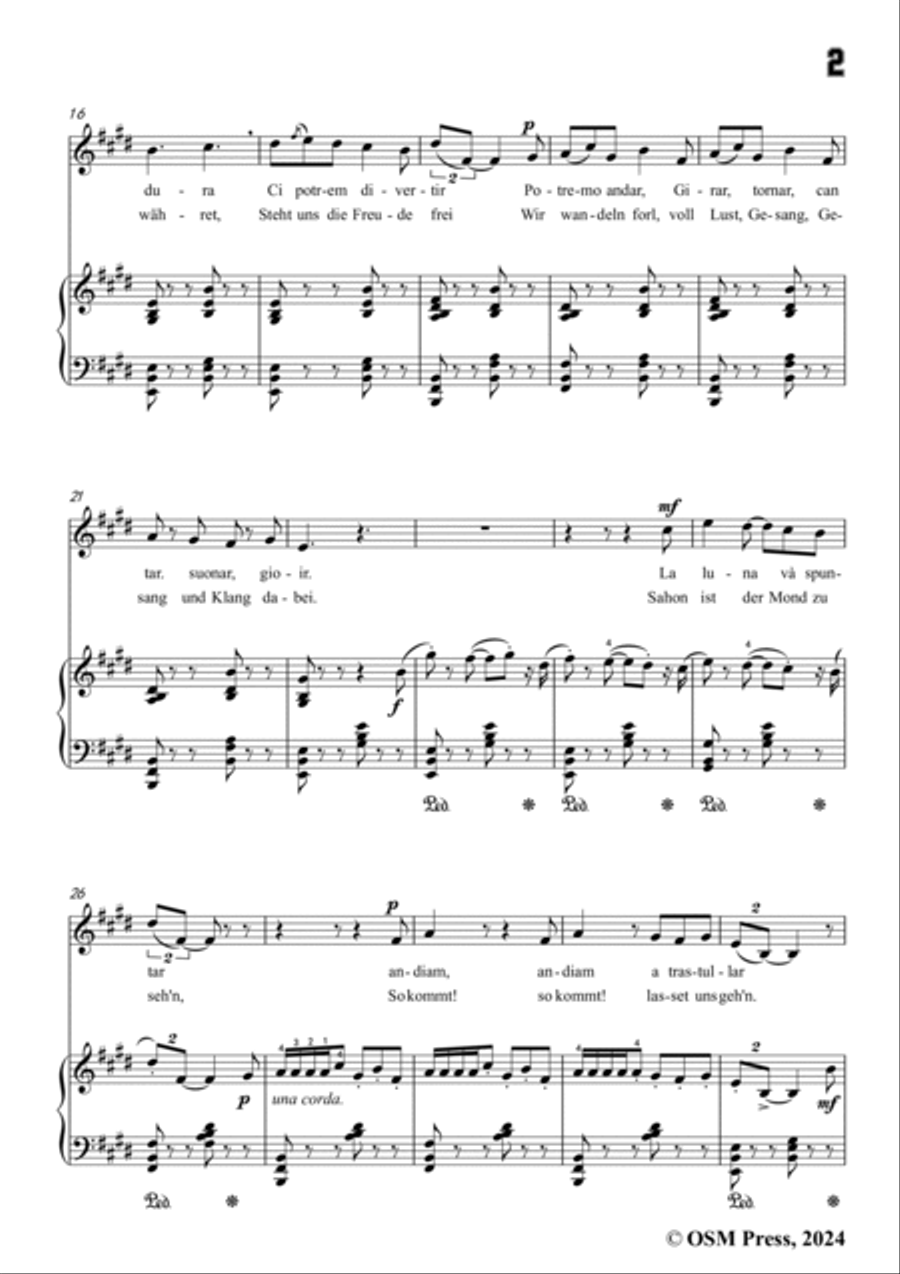 Paladilhe-Mandolinata( Souvenir de Rome),in E Major Voice scores gallery preview page 3